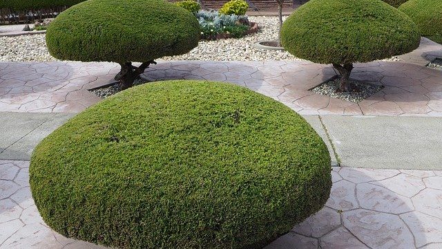 Selecting Plants For Landscaping